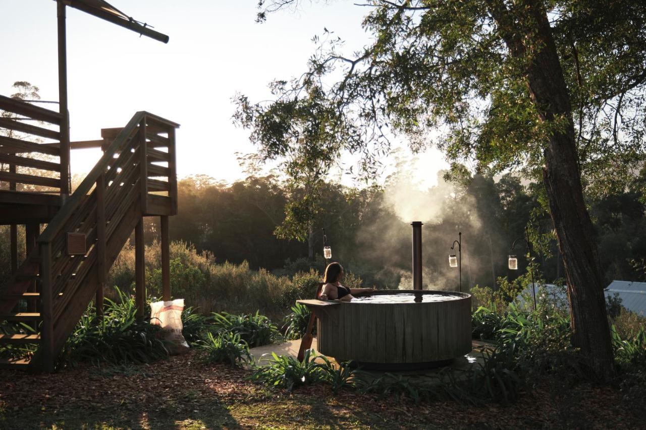 Africamps At Oakhurst Wildernis Exterior foto